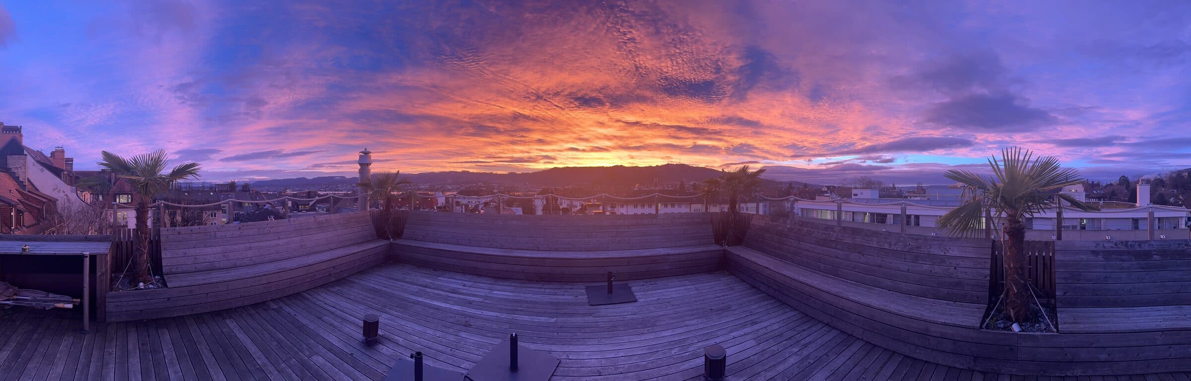 Panorama of the rooftop deck with palms at sunset