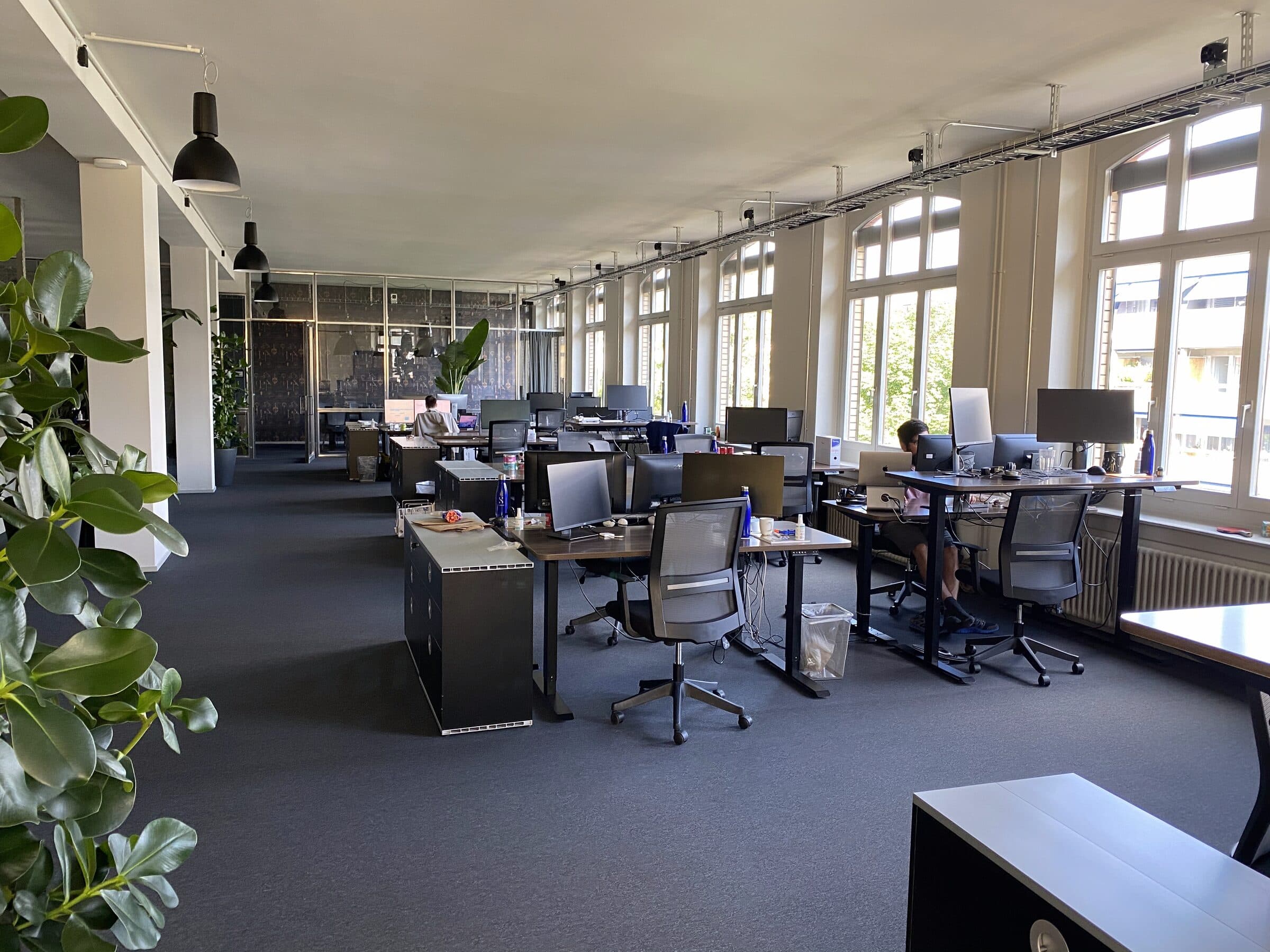 Bright office floor in use, large windows and plants